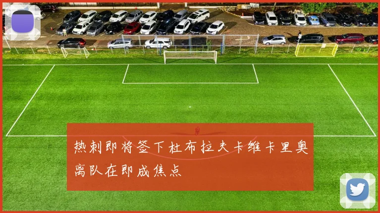热刺即将签下杜布拉夫卡维卡里奥离队在即成焦点